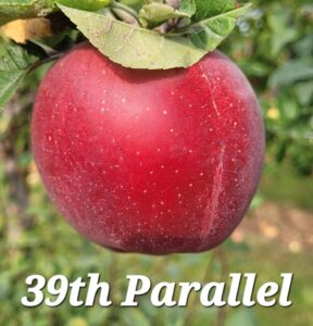 39th Parallel Exclusive Offerings: – 39th Parallel Nursery & Orchard ...